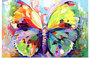 Colorful Butterfly