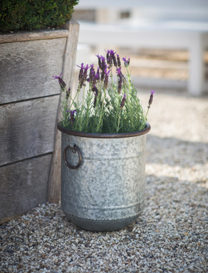 Malmesbury Planter 33cm - Galvanised Steel, Silver