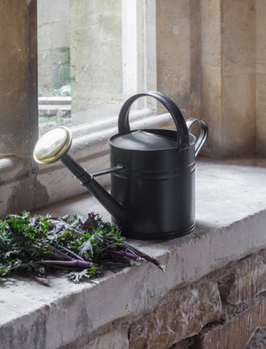 Classic Watering Can 5L - Steel, Carbon