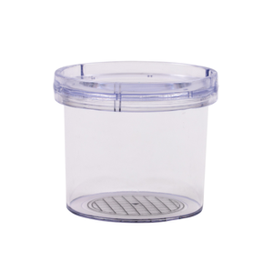 Bug Pots - Pack of 12