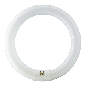 Sylvania Circular 32W 12" Cool White 840