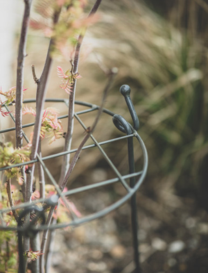 Charlbury Grow Through Plant Support - Steel, Grey, Small