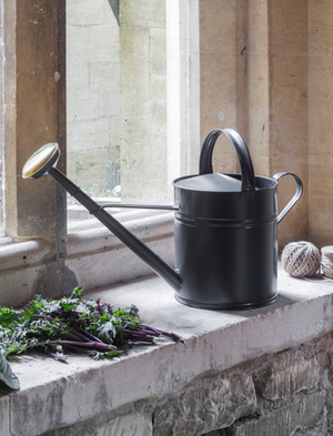 Classic Watering Can 10L - Steel, Carbon