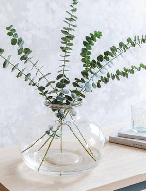 Bloomfield Round Vase - Glass, Clear, Large