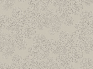 Aeonium - Cotton A4 Sample