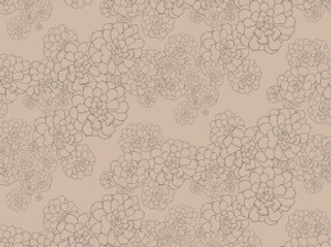 Aeonium - Temple A4 Sample