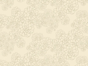 Aeonium - Wattle A4 Sample