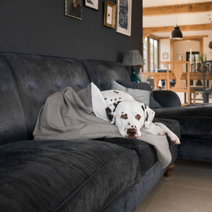 Dog & Puppy Blanket in Savanna Stone by Lords & Labradors