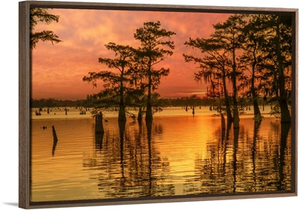 USA, Louisiana, Atchafalaya Basin