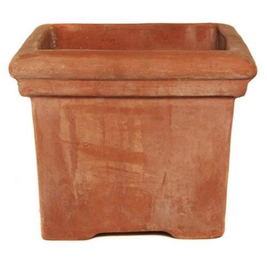 Terracotta Baytree Square* - 510 x 510 x 440 (H)mm