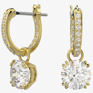 Swarovski Ladies Constella Gold Plated Hoop Dropper Earrings 5638802