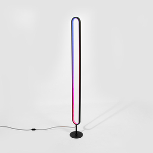 Adjustable Mood Lighting Floor Lamp - 130cm with Remote