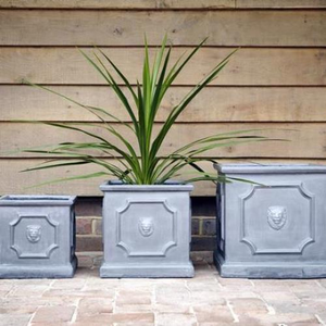 Clayfibre Lion Head Cube Planter - Silver* - 320 x 320 x 320 (H)mm Set of 4