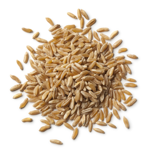 Organic Kamut Grain 1kg