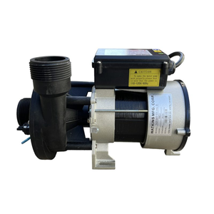 1 HP 1 Speed Spa Friction Pump- LS100, LS100DX, LS200, LS300 Plus, LS350DX, LS350 Plus, LS450DX, LS500 Plus #77406