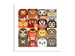 North American Owls