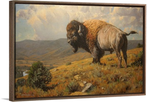 Lonesome - Bison