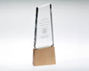 Glass Tower & Wood Award