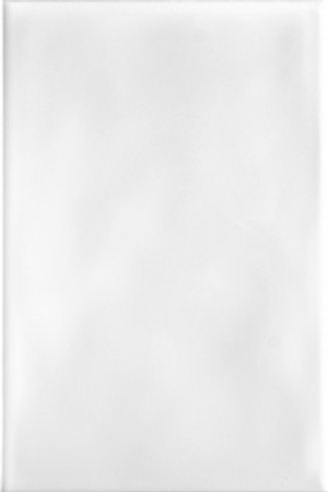 Nicobond Bumpy White Ceramic Wall Tile 200x300mm