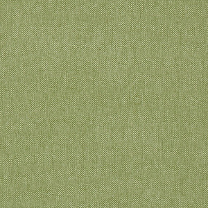 Prestigious Textiles Buxton Fabric Apple