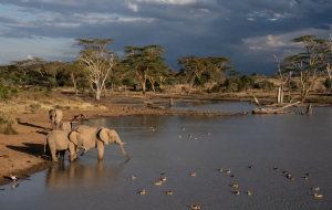 El Karama Lodge
