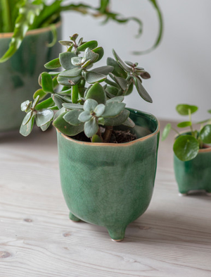 Positano Pot 13.5cm - Ceramic, Forest Green