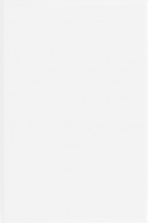 Nicobond Gloss White Ceramic Wall Tile 200x300mm