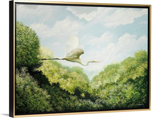 Egret