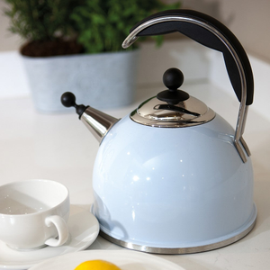 AGA Whistling Kettle - Duck Egg Blue
