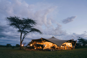 Wilderness Usawa