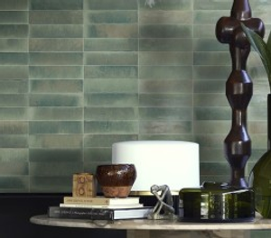 Lume Forest Gloss Porcelain Wall and Floor Tile 240x60mm