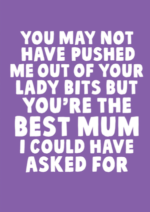 You May Not Have Pushed Me Out of Your Lady Bits butâ€¦ Mother's Day Card