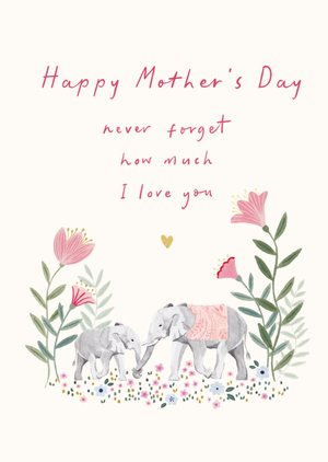 Never Forget How Much I Love You Mother's Day Card