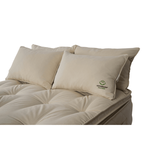 Cottonsafe® Luxury Feather Pillow