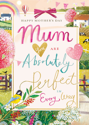 Mum You Are Absolutely Perfect Mother's Day Card