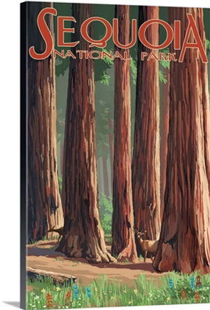 Sequoia National Park, Forest: Retro Travel Poster