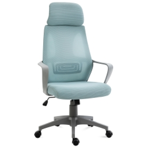 Vinsetto Silla de Escritorio Silla de Oficina Ergonómica Ajustable con Reposabrazos Reposacabezas y Función Basculante 64x55x116-126 cm Azul