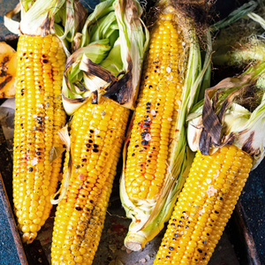 Sweetcorn Seeds 'Honeydew' F1