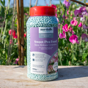 Concentrated Slow Release Sweet Pea Feed Granules