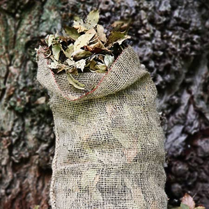 Compostable Leaf Sacks