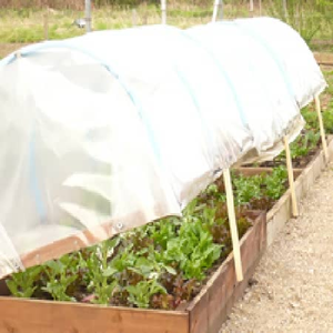 Polythene Cover Only 9ft x 16'4ft
