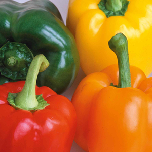 Pepper Seeds 'Salad Festival' F1
