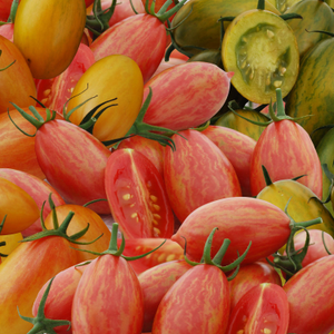 Tomato Seeds Cherry Plum 'Tiger Stripe Mix'