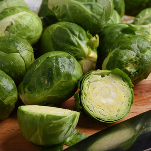 Brussels Sprout 'Brigitte'