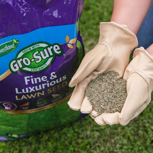 Gro-Sure Fine & Luxurious Lawn Seed