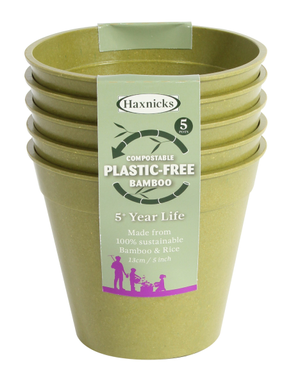 Bamboo Pot 5" - 5 Pack
