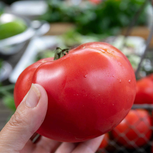 Tomato Seeds 'Big Daddy'