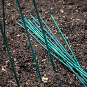 Green Bamboo Canes 90cm - 45 Canes
