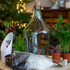 Open Terrarium DIY Set 3L