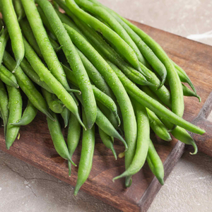 French Bean Dwarf Seeds 'Modesto'